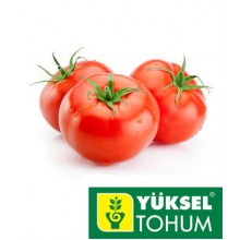 Yuksel Tohum (Турция)